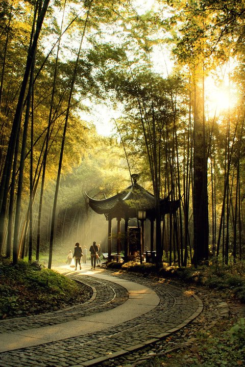 中国风景4